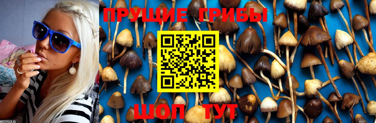 Галлюциногенные грибы ЛСД  Галлюциногенные грибы мухоморы  Вход с VPN  Фурманов 